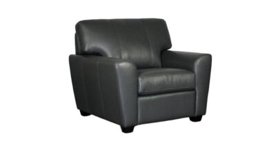 Shannon Leather Chair