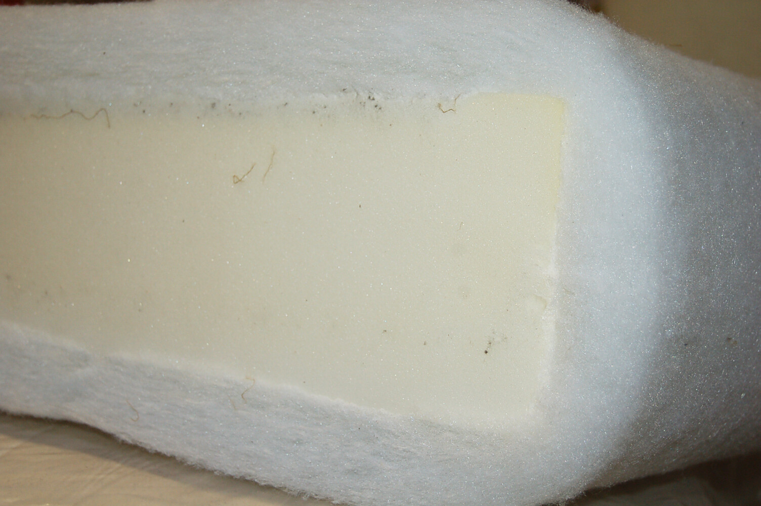 Foam